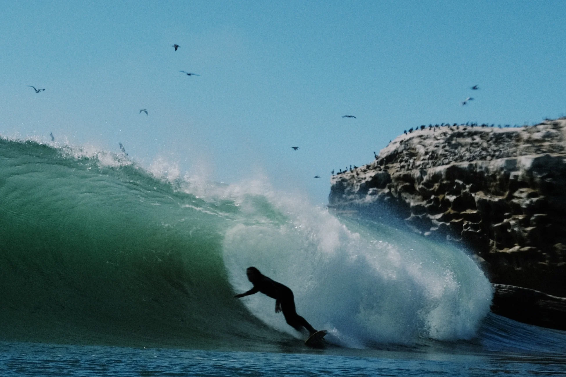 Ride the Art of Surfing